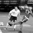McGill Tribune / Sam Reynolds, Ryan Reisert