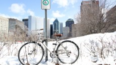 (Alexandra Allaire / McGill Tribune)