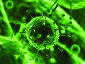 Viruses contain both living and non-living characteristics, making them difficult to classify. (static.ddmcdn)