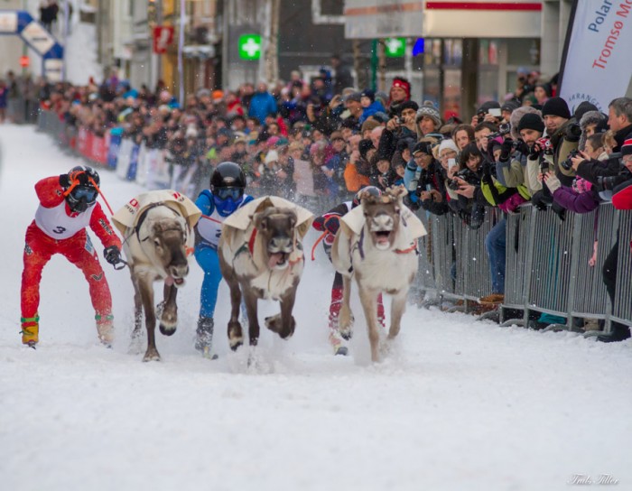 Reindeer Racing